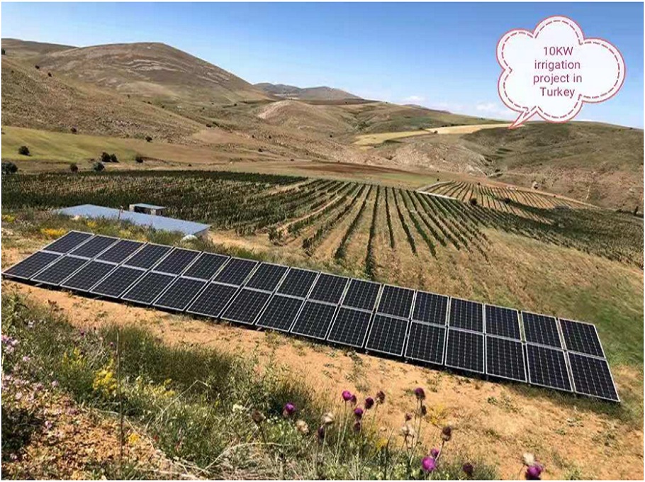 Cultivating Sustainability: Turkey's 10KW Solar Pump Irrigation System